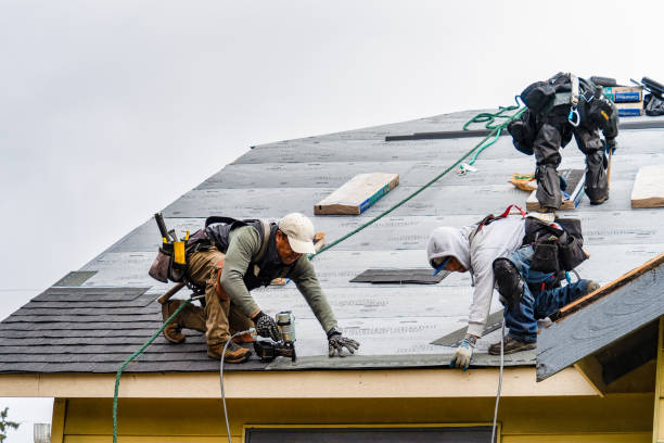 Professional Storm Damage Roof Repair technician working in Southport, NC